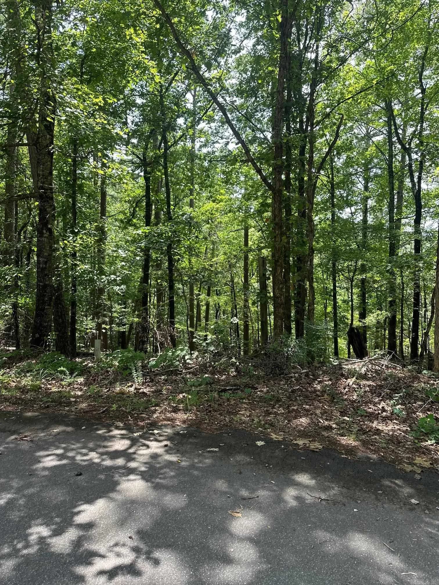 Property at 34 & 37  Almendra ln - Image 2