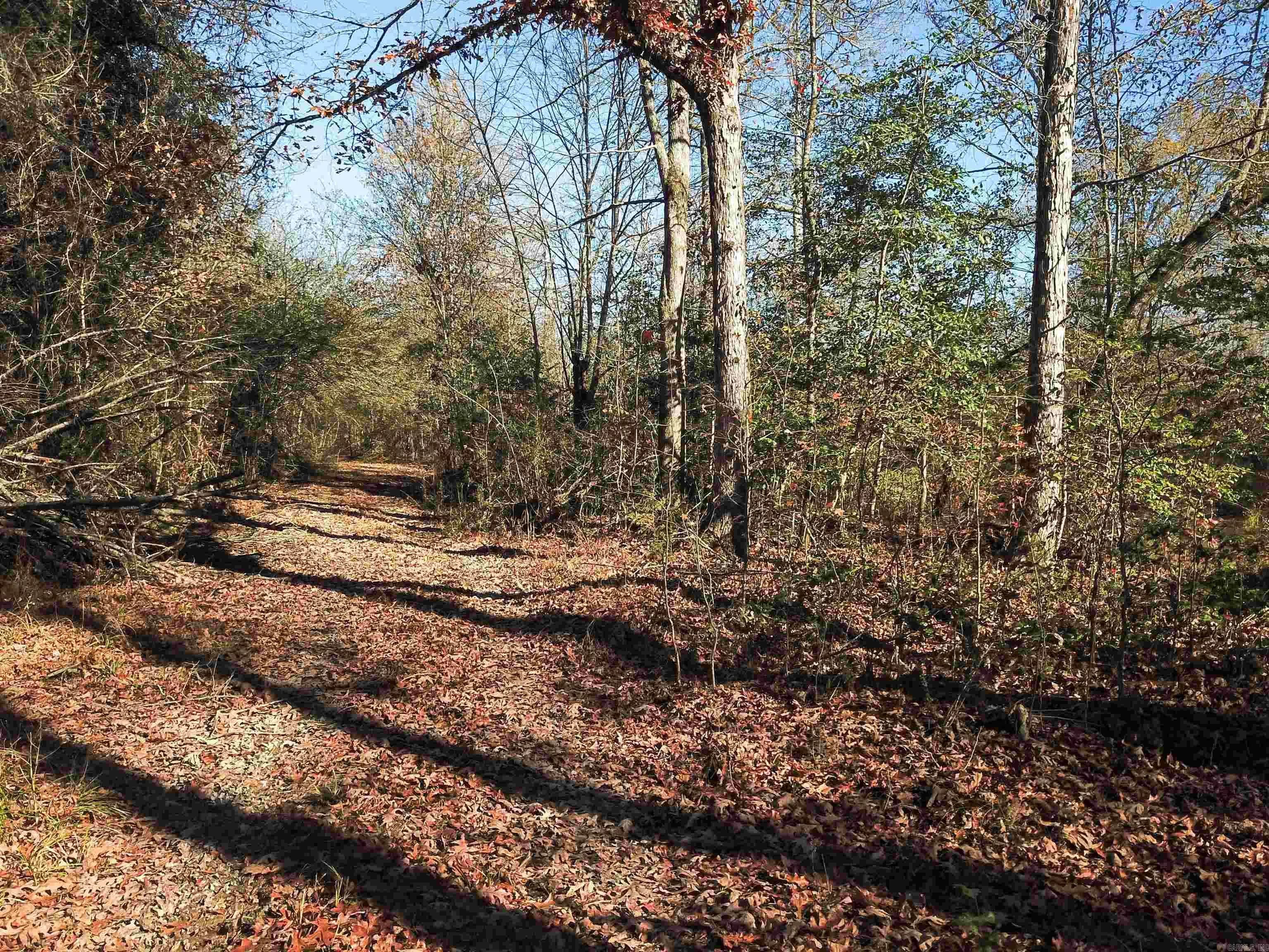 Property at 000  White oak slough - Image 18