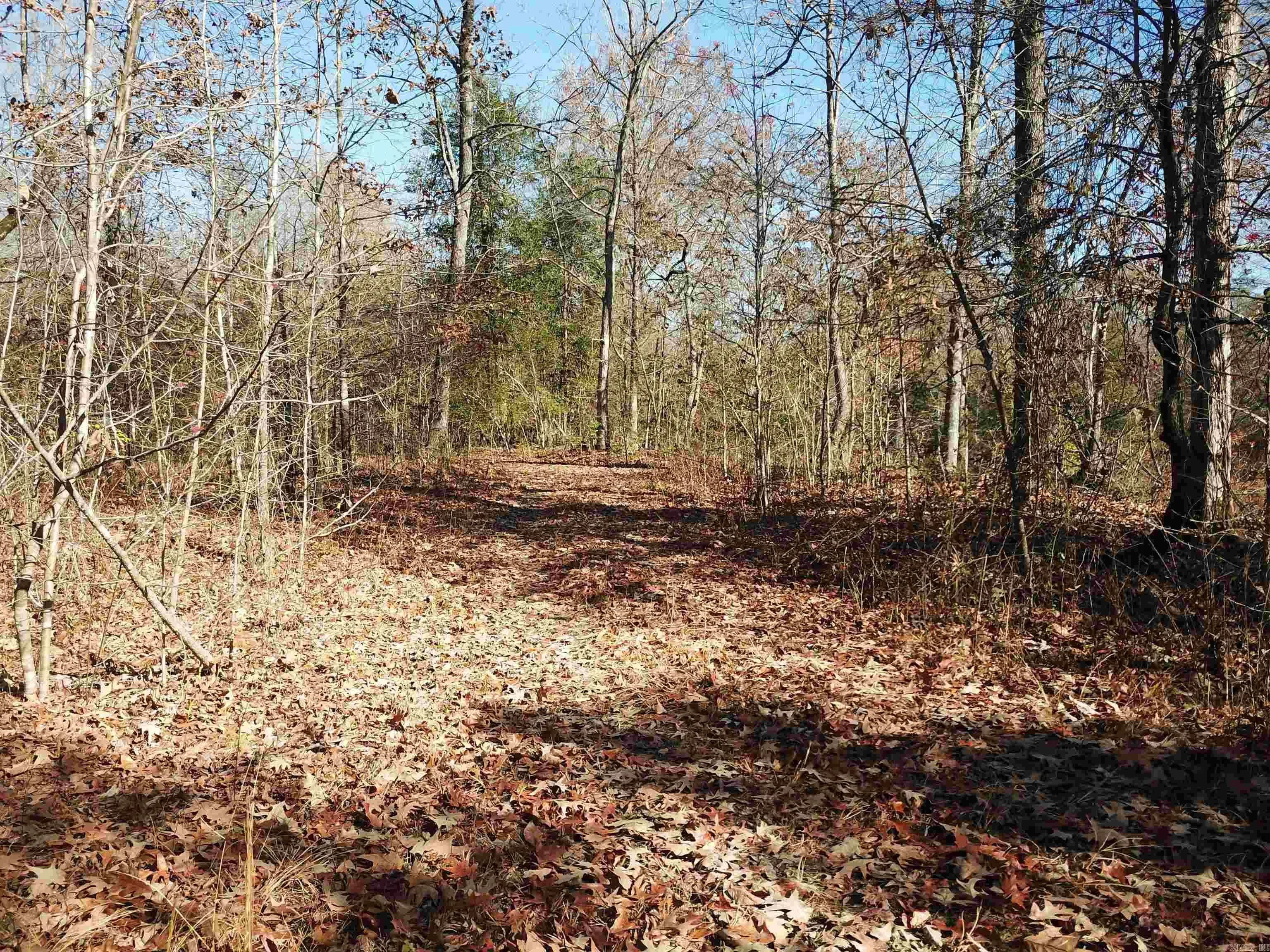 Property at 000  White oak slough - Image 14