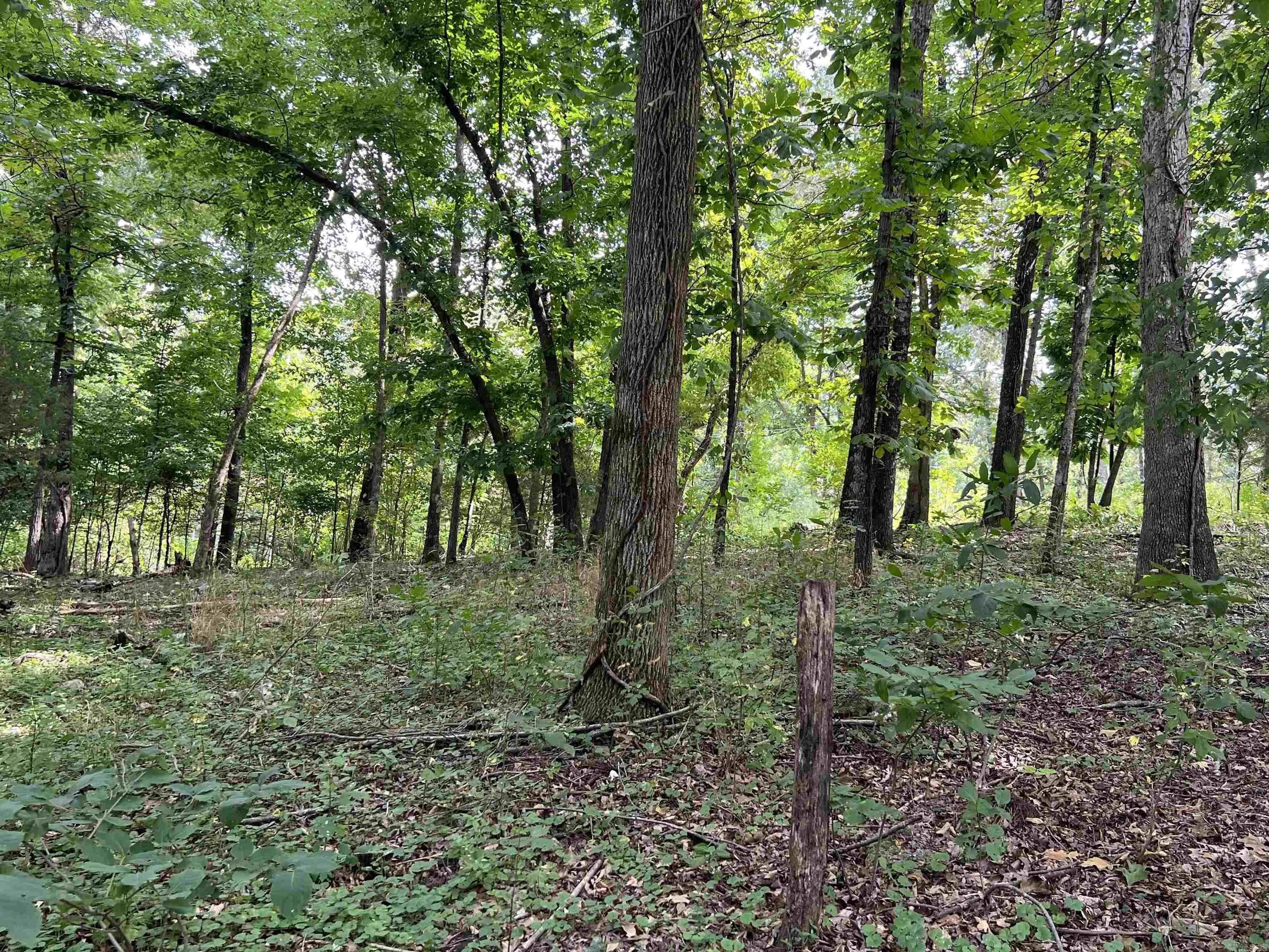 Property at 000  Riverbend road - Image 8