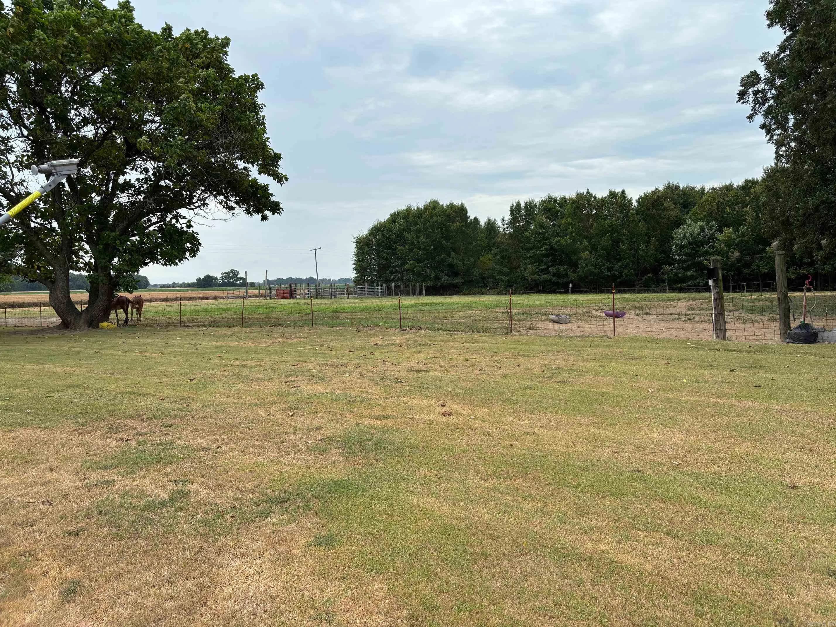 Property at 569  Cross county 105 - Image 16