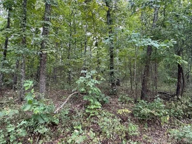 Property at TBD  Brakebill - Image 10