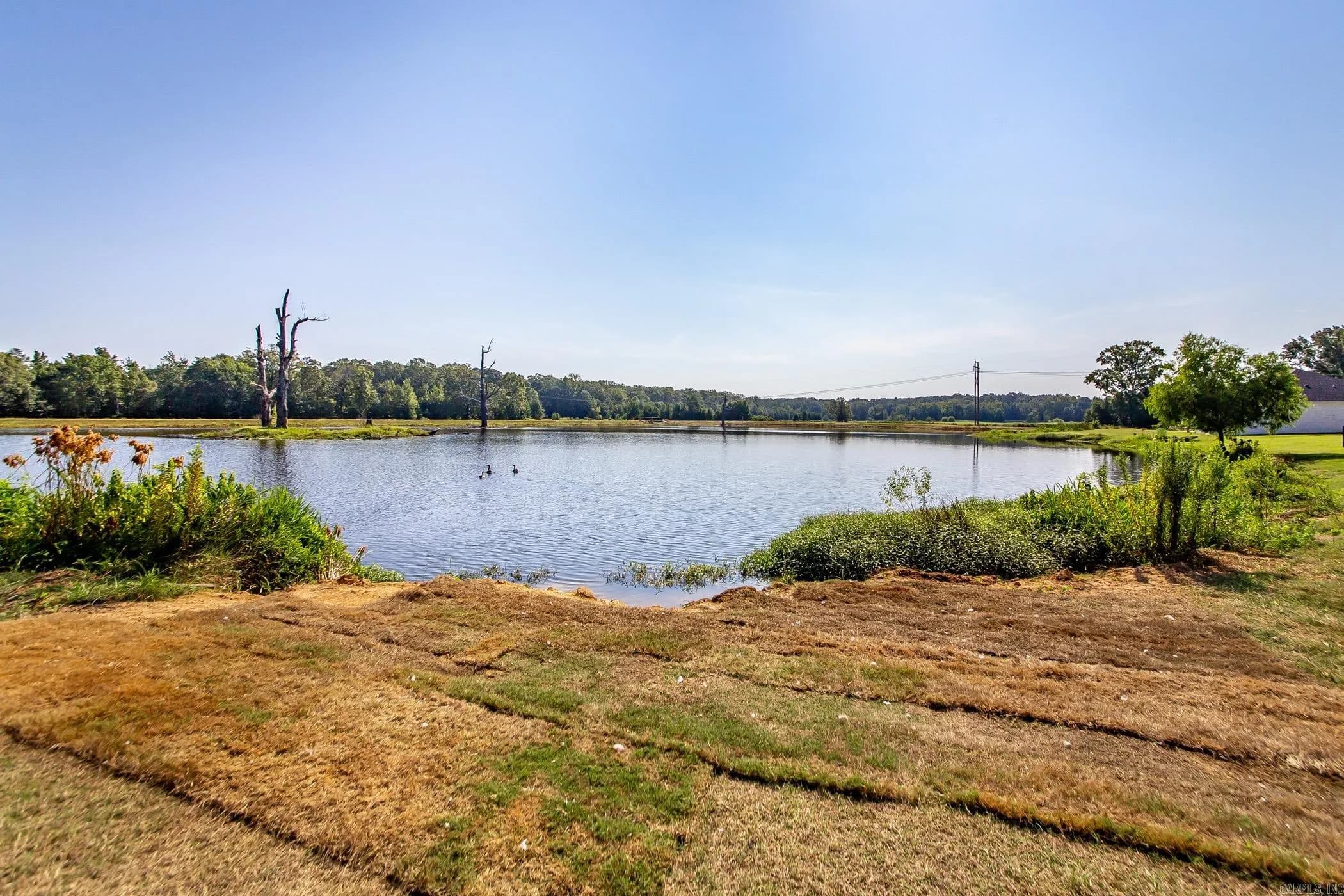 Property at 1009  Chavis - Image 34