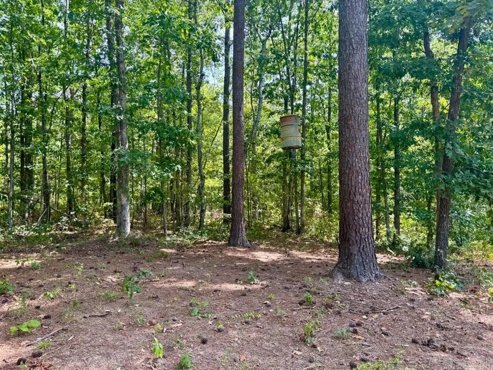 Property at 000  Shady grove - Image 12