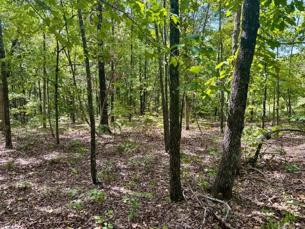 Property at 000  Shady grove - Image 16