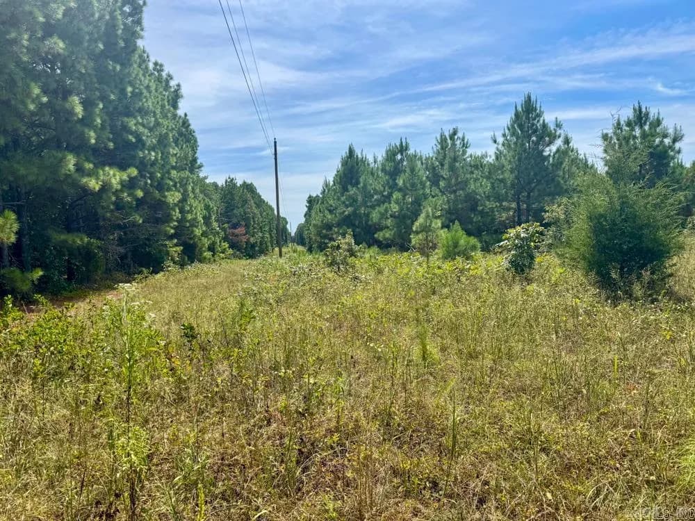 Property at 329  Foxtail - Image 35