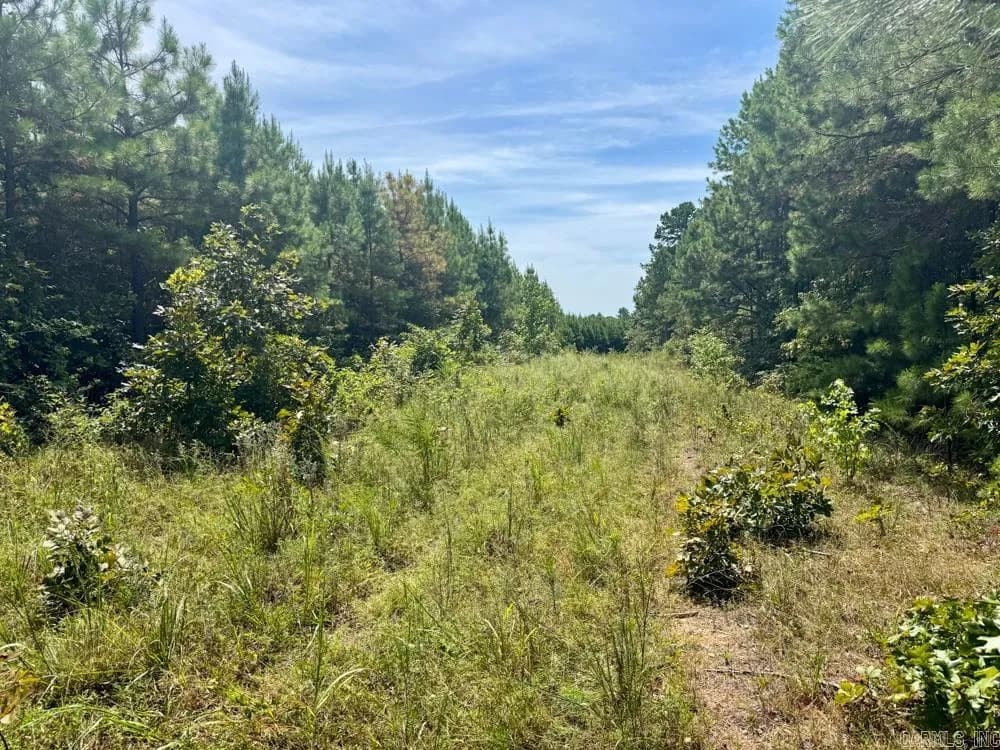 Property at 329  Foxtail - Image 31
