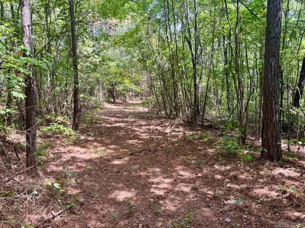 Property at 329  Foxtail - Image 15