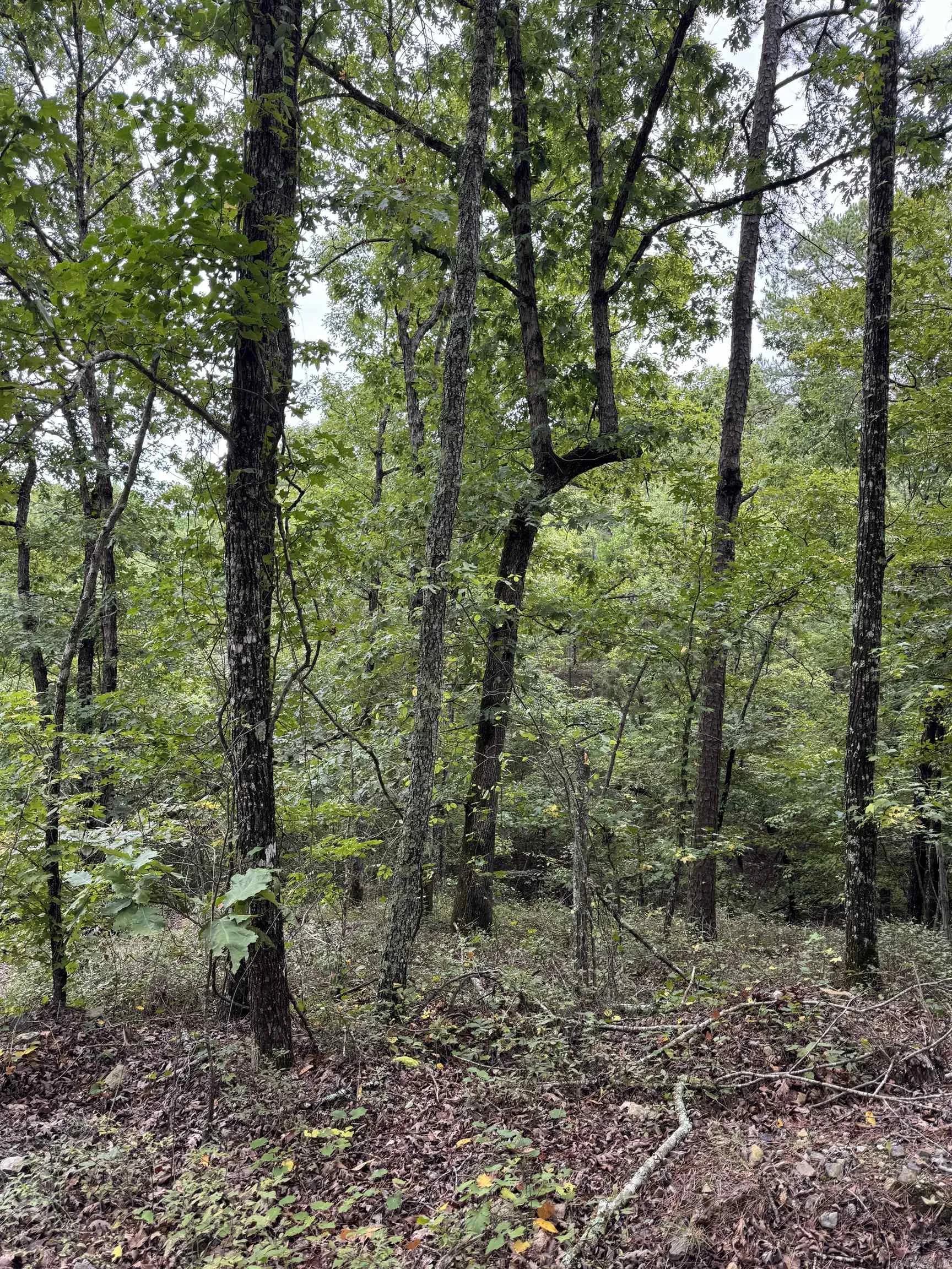 Property at 151  Moon hollow trail - Image 20