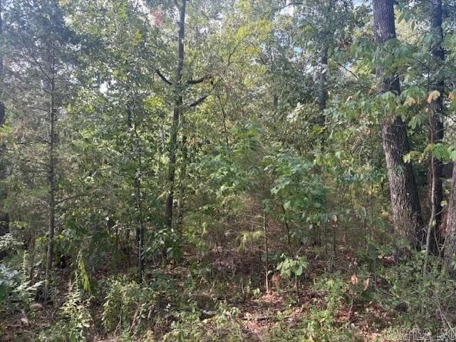 Property at Lot 15 & 2A S Hwy 5 - Image 5