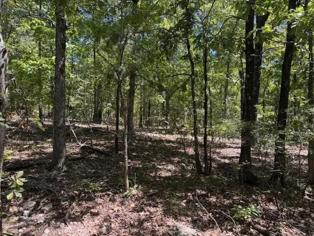 Property at TBD  Echowood circle - Image 6