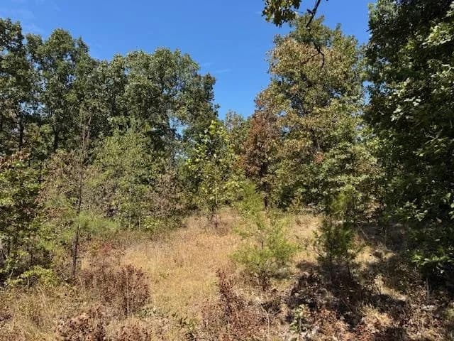 Property at TBD  Echowood circle - Image 14