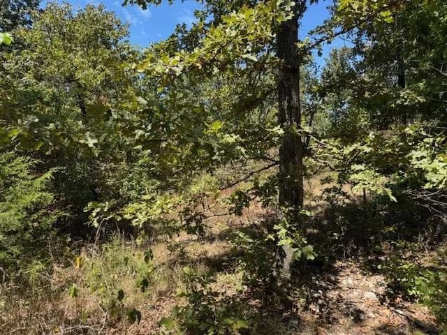 Property at TBD  Echowood circle - Image 13