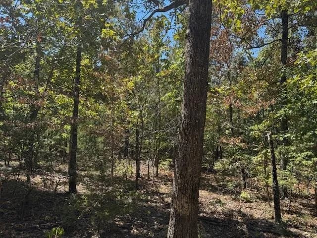 Property at TBD  Echowood circle - Image 8