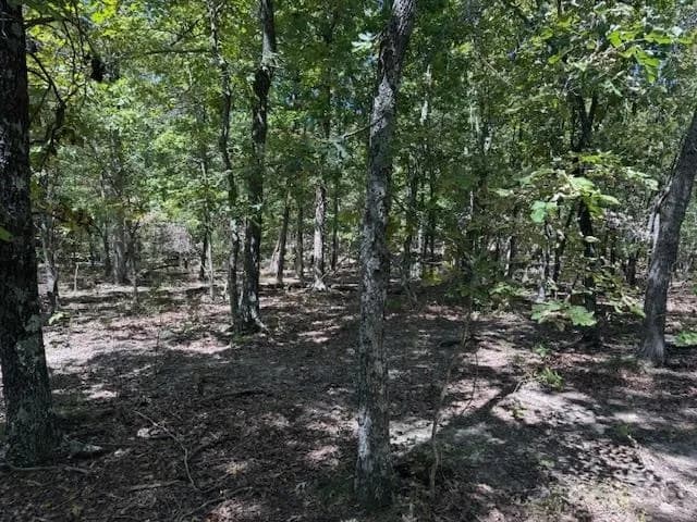 Property at TBD  Echowood circle - Image 12