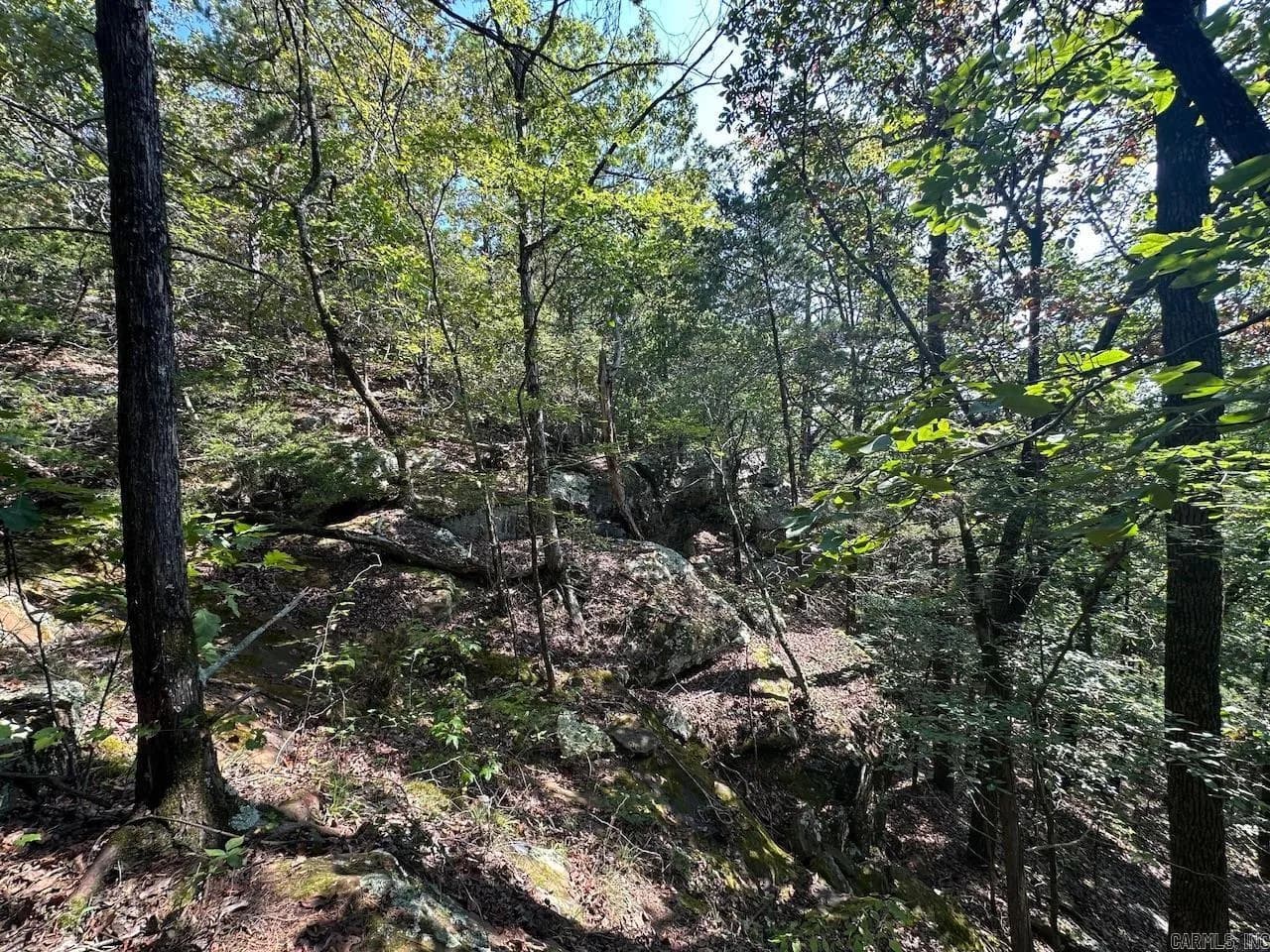 Property at 000  Gassaway - Image 15