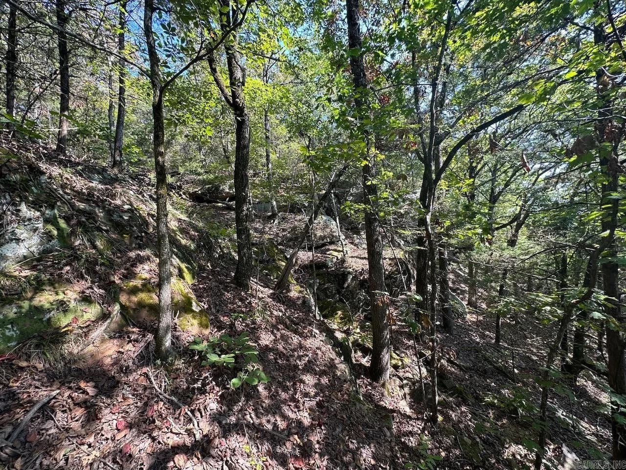 Property at 000  Gassaway - Image 14