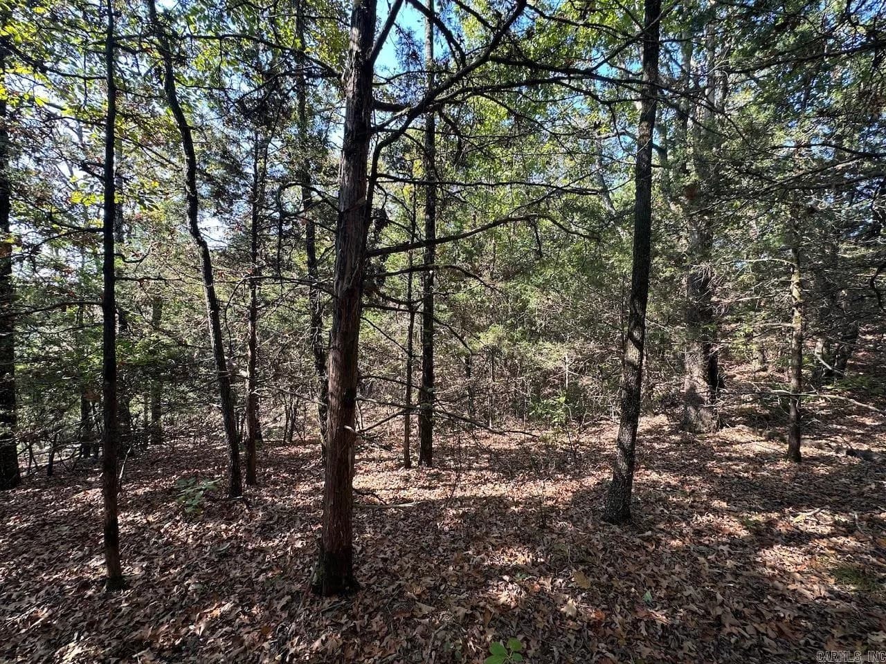 Property at 000  Gassaway - Image 18