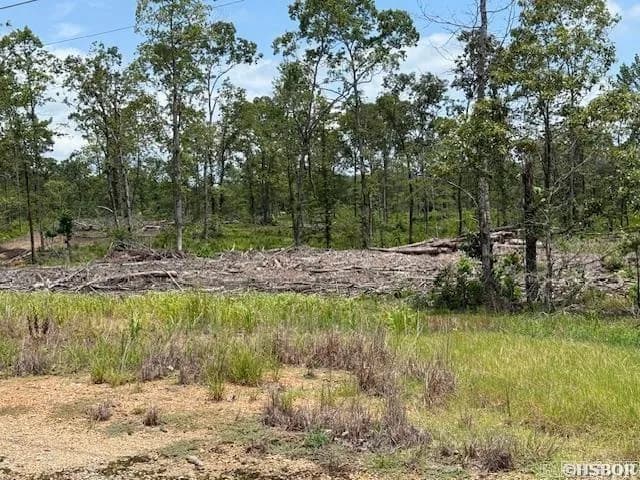 Property at XXX N Hwy 7 - Image 10