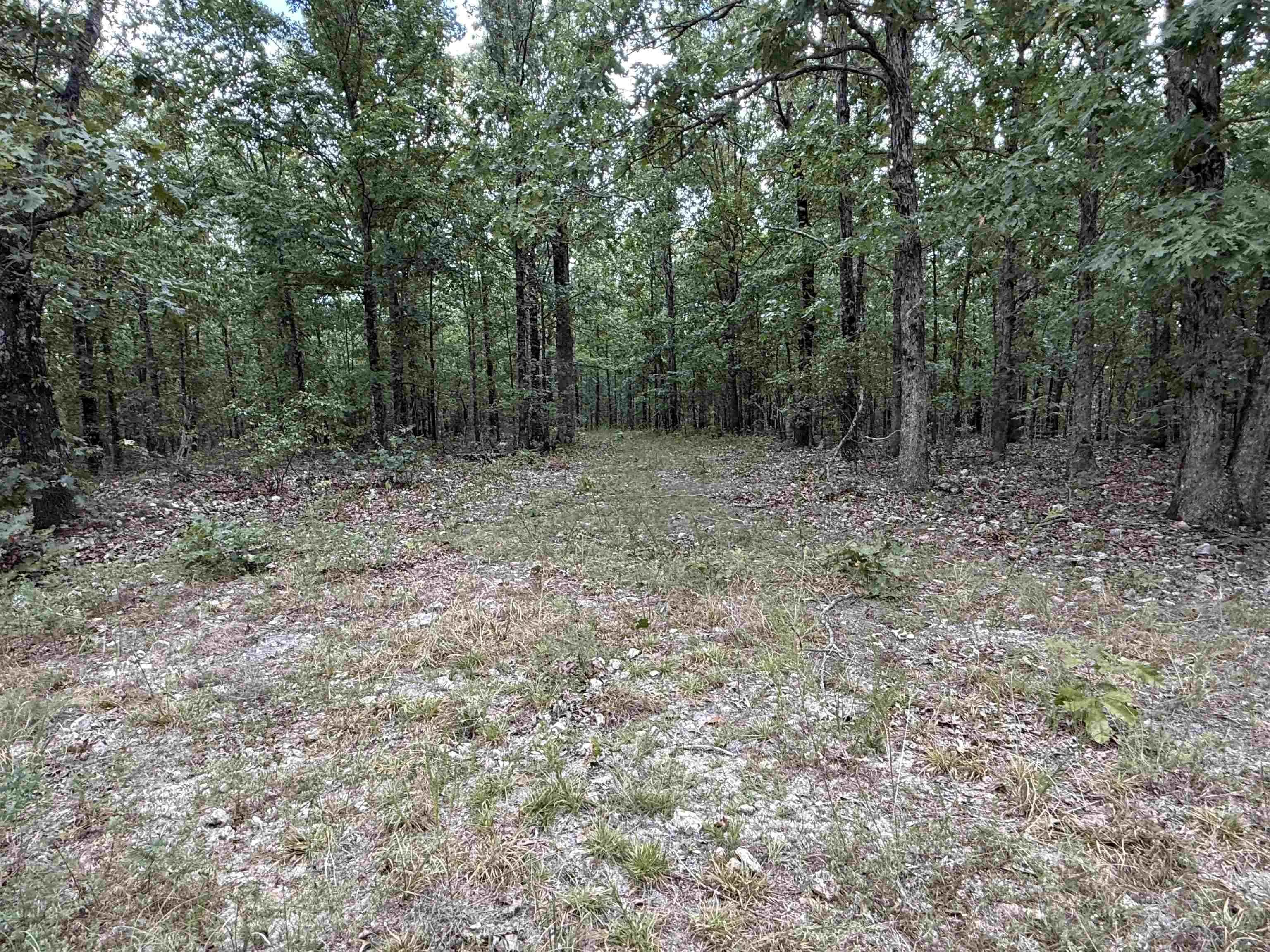 Property at 186A  Williamson trail - Image 26