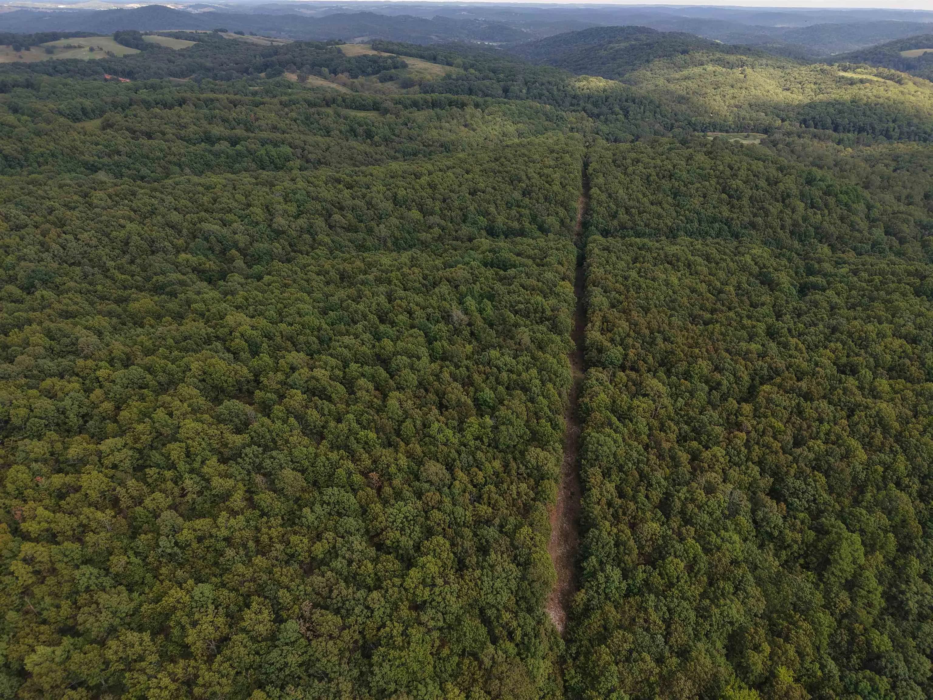 Property at 186A  Williamson trail - Image 30