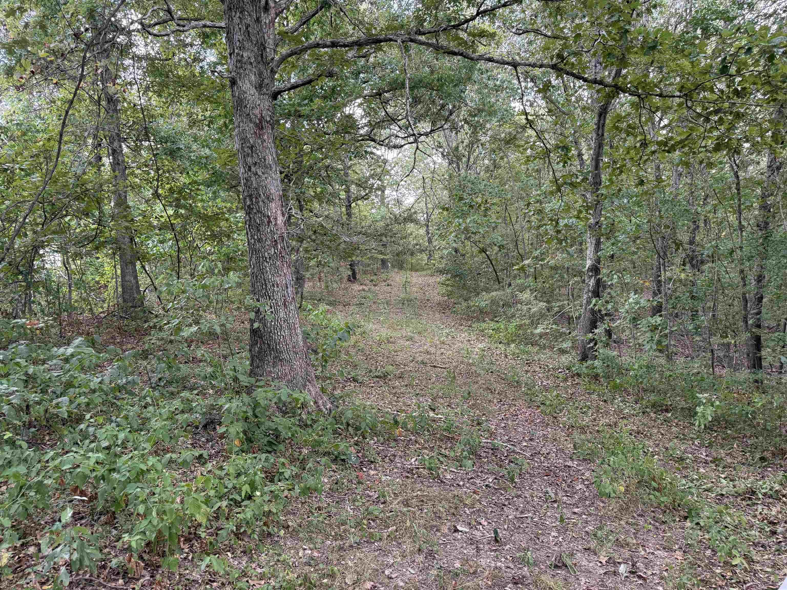 Property at 186A  Williamson trail - Image 37