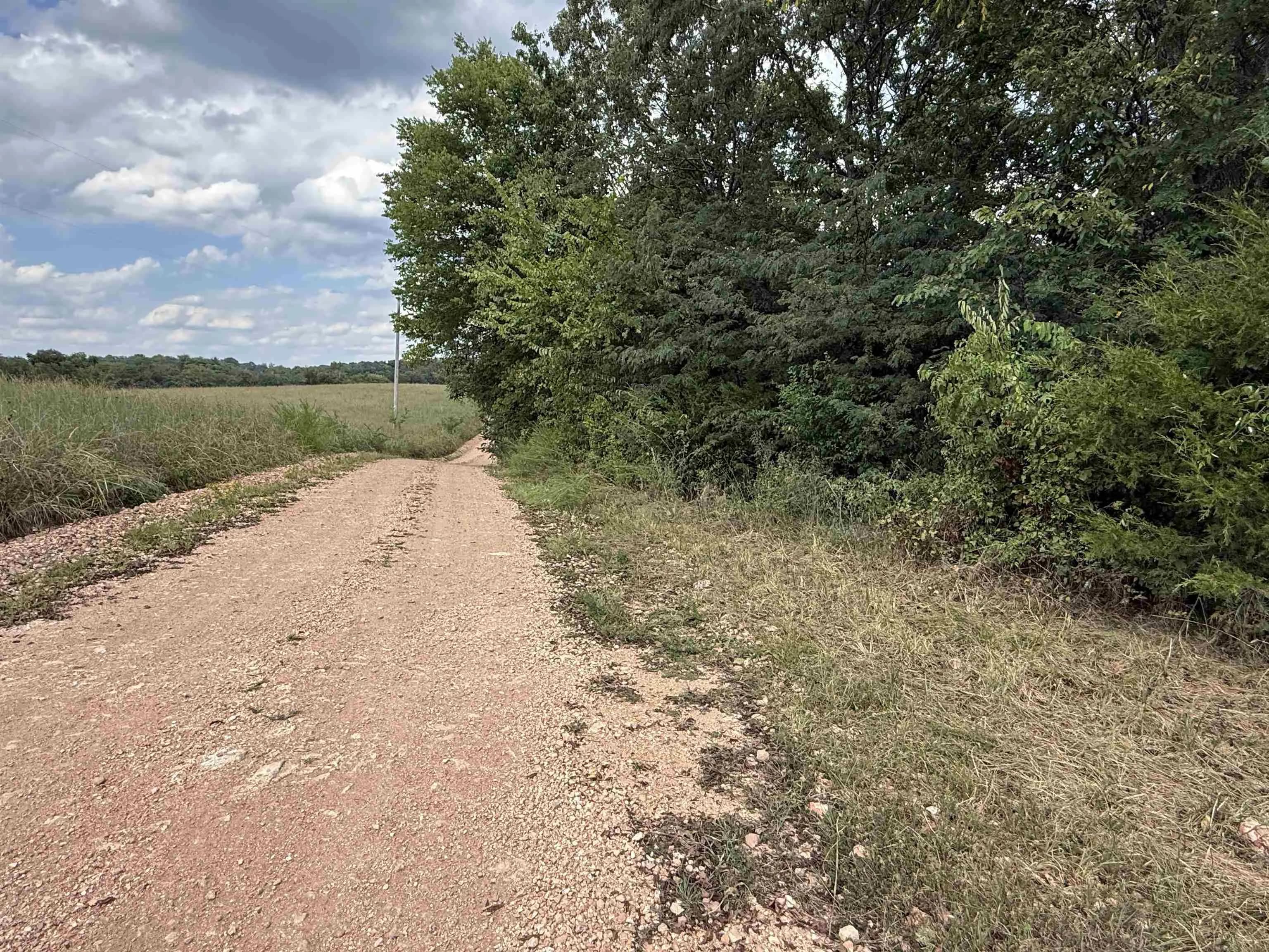 Property at 186A  Williamson trail - Image 41