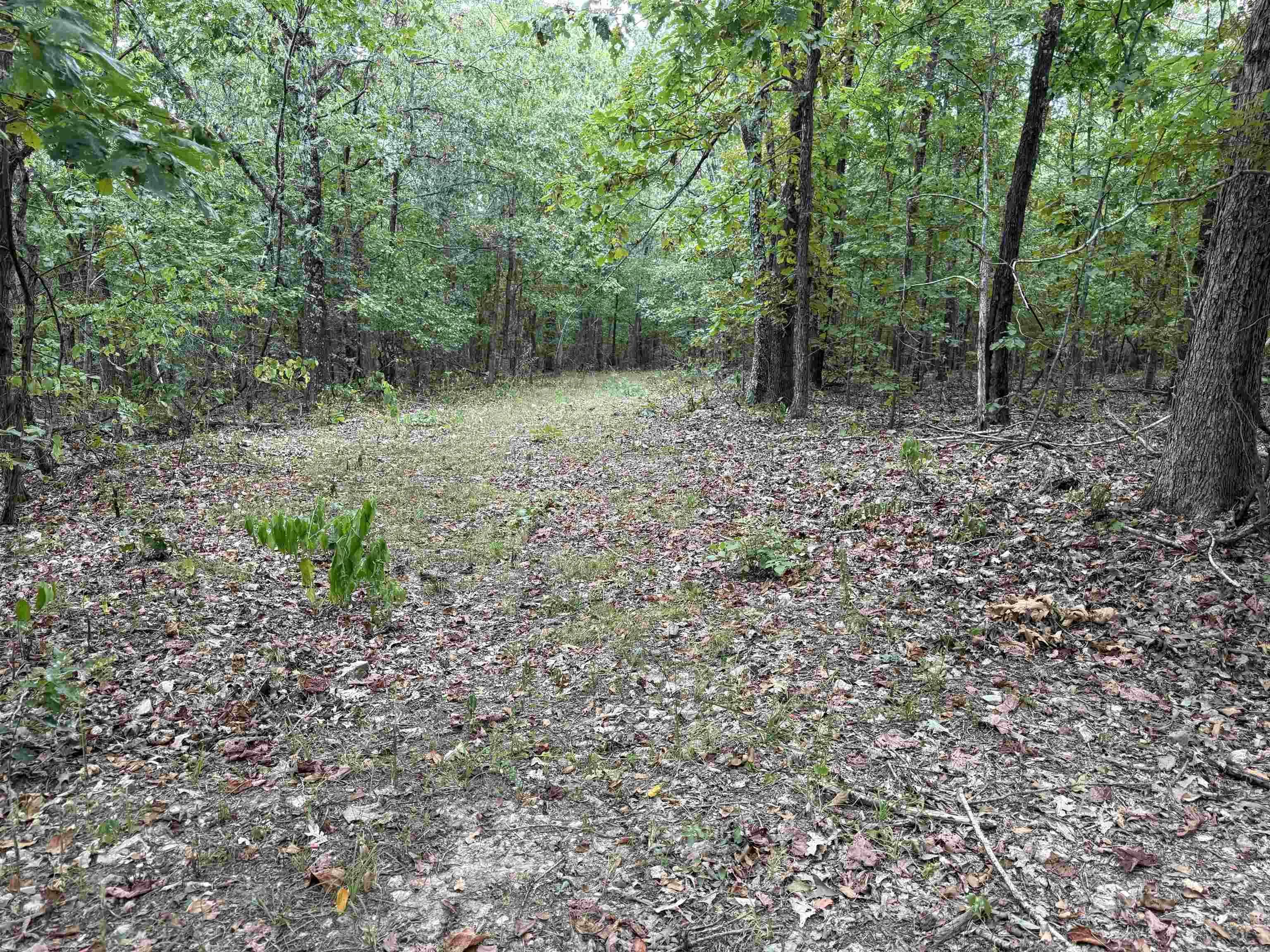 Property at 186A  Williamson trail - Image 24