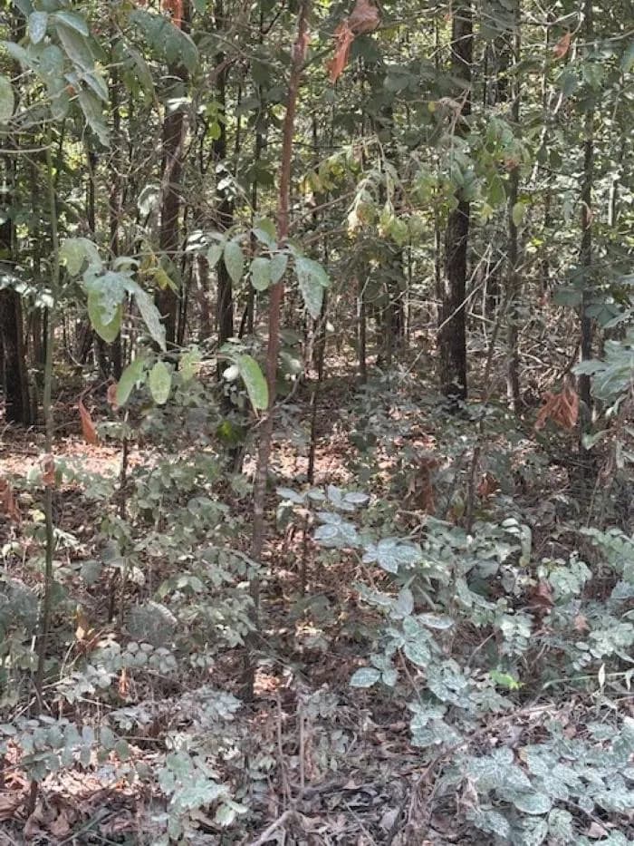 Property at 36 FM 101 Rd S Highland - Image 5