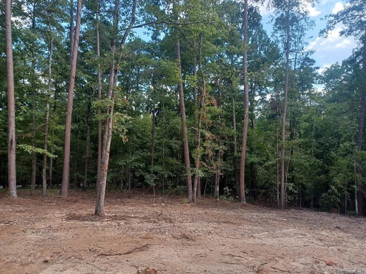 Property at 10  Archidona cir - Image 2