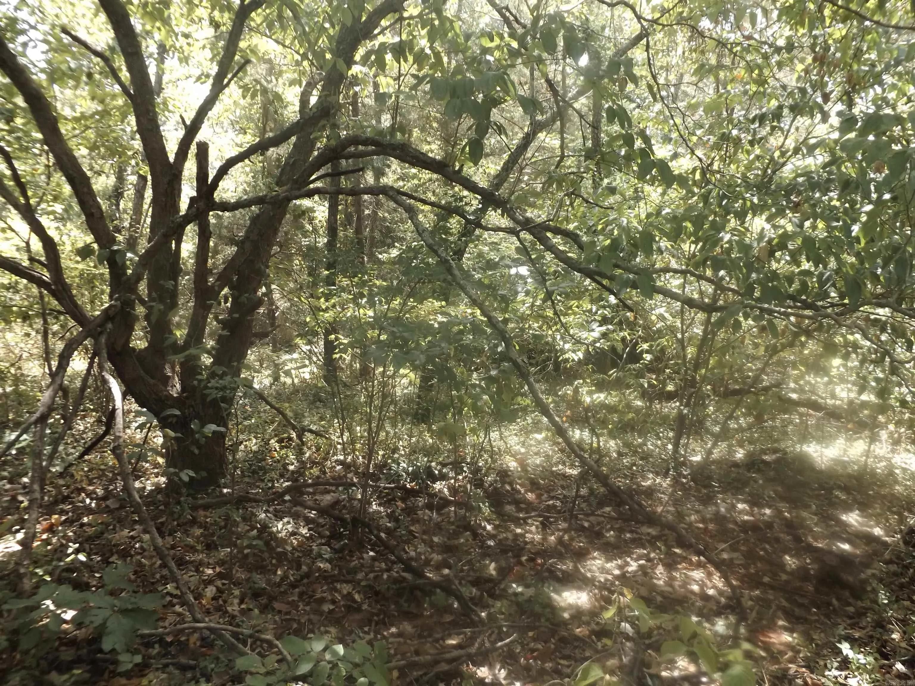 Property at 002-10881-000  Hwy 178 - Image 3