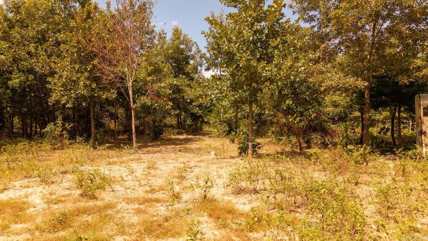 Property at 000  County road 9640 - Image 33
