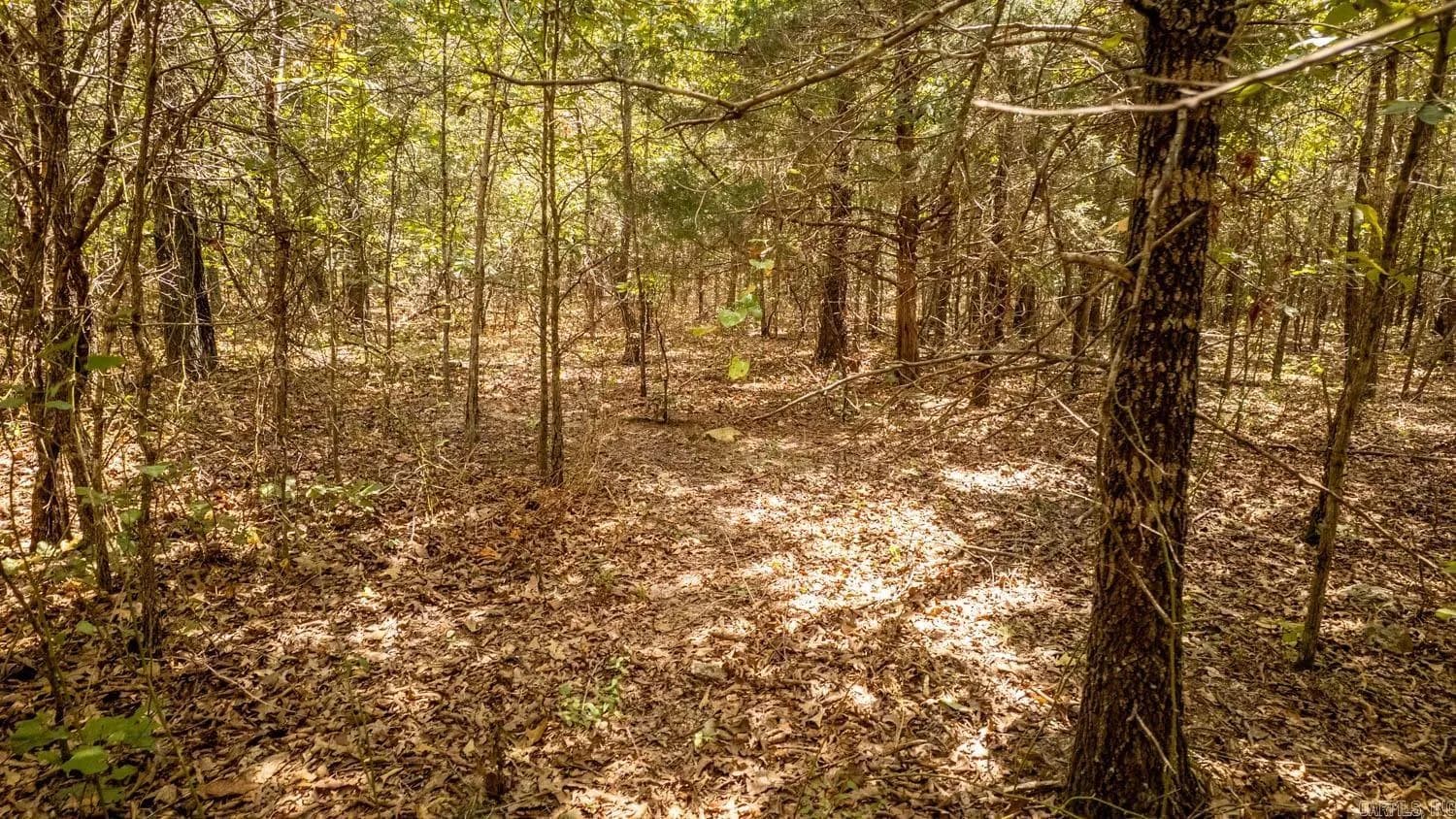 Property at 000  County road 9640 - Image 15