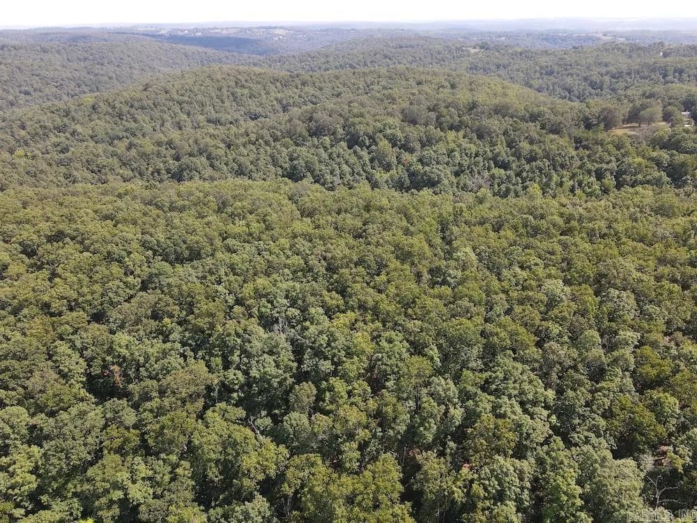 Property at 550  Hillbilly hollow trail - Image 26