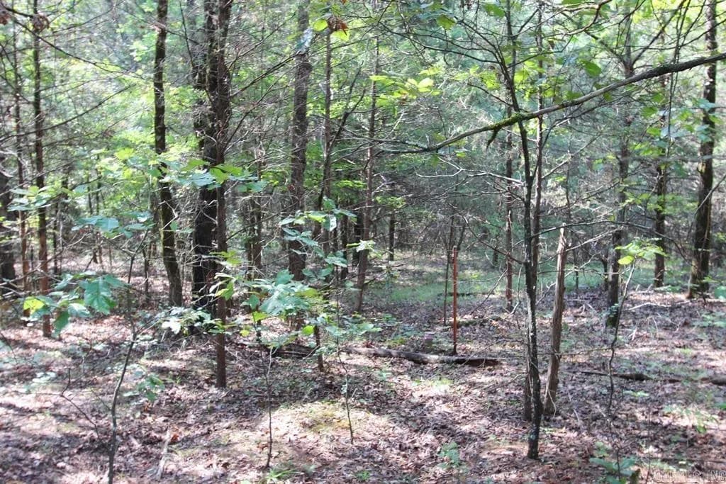 Property at 226  Blythe - Image 10