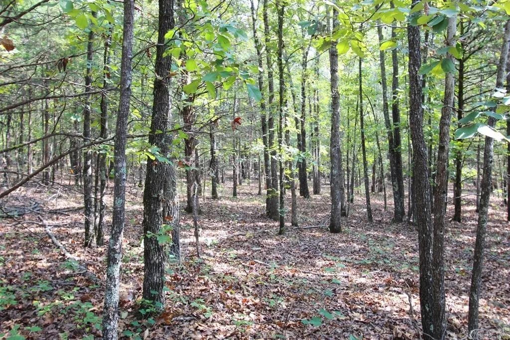 Property at 226  Blythe - Image 15