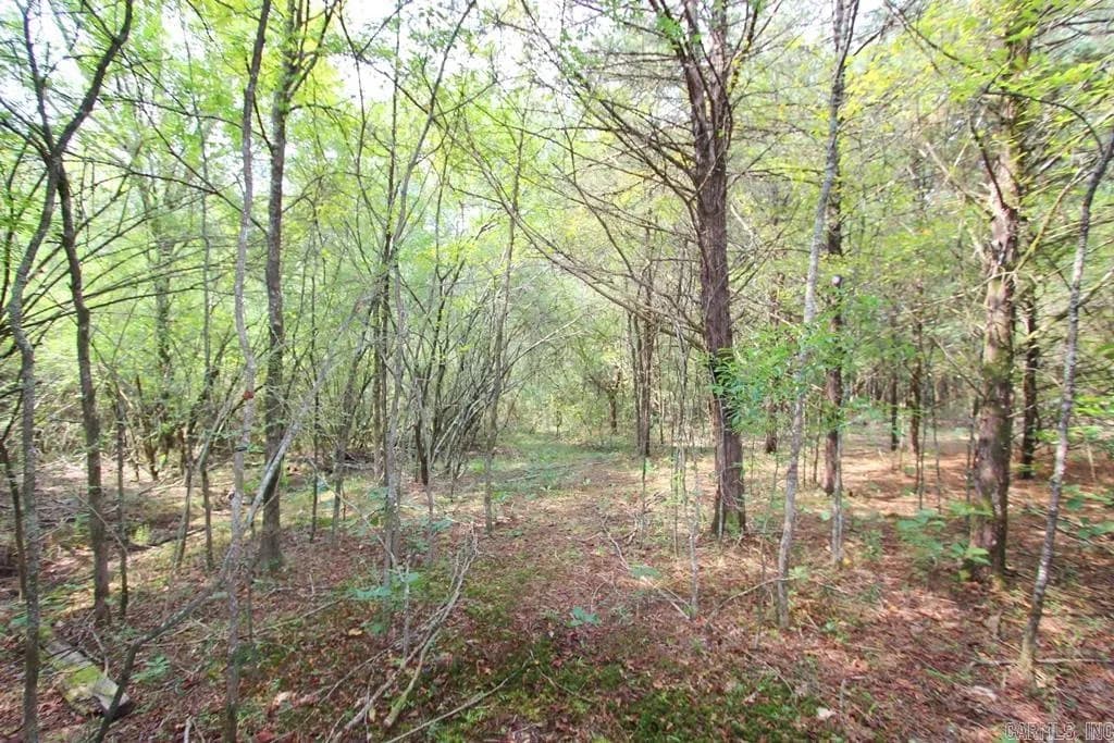 Property at 226  Blythe - Image 37