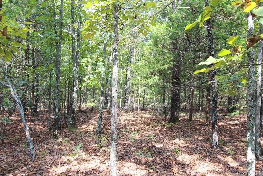 Property at 226  Blythe - Image 19