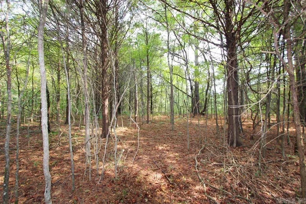 Property at 226  Blythe - Image 38