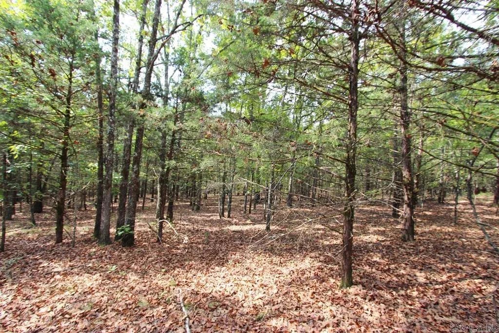 Property at 226  Blythe - Image 32