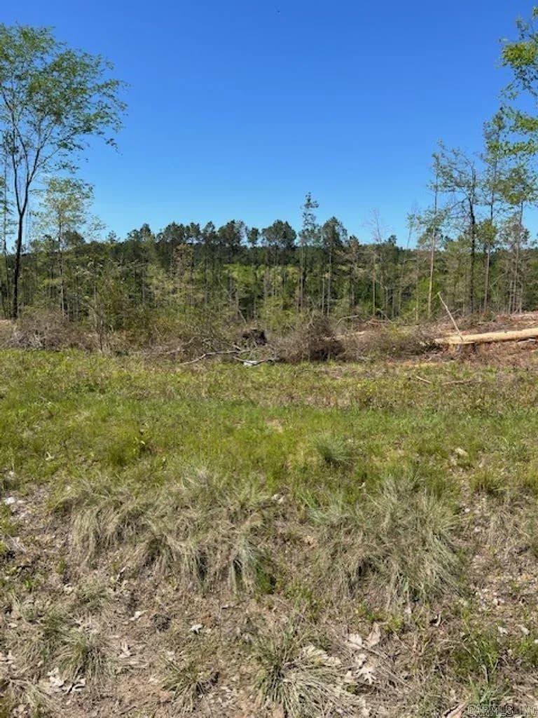 Property at TBD  Hwy 84  Tract C - Image 2