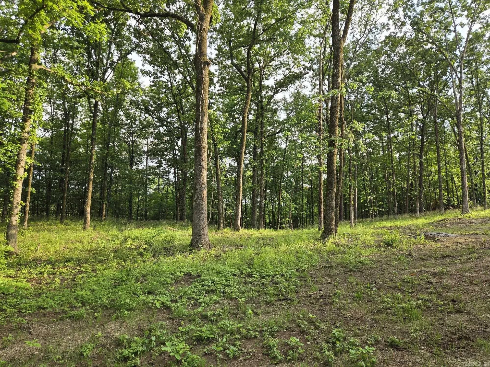 Property at 109  Diamondhead - Image 30