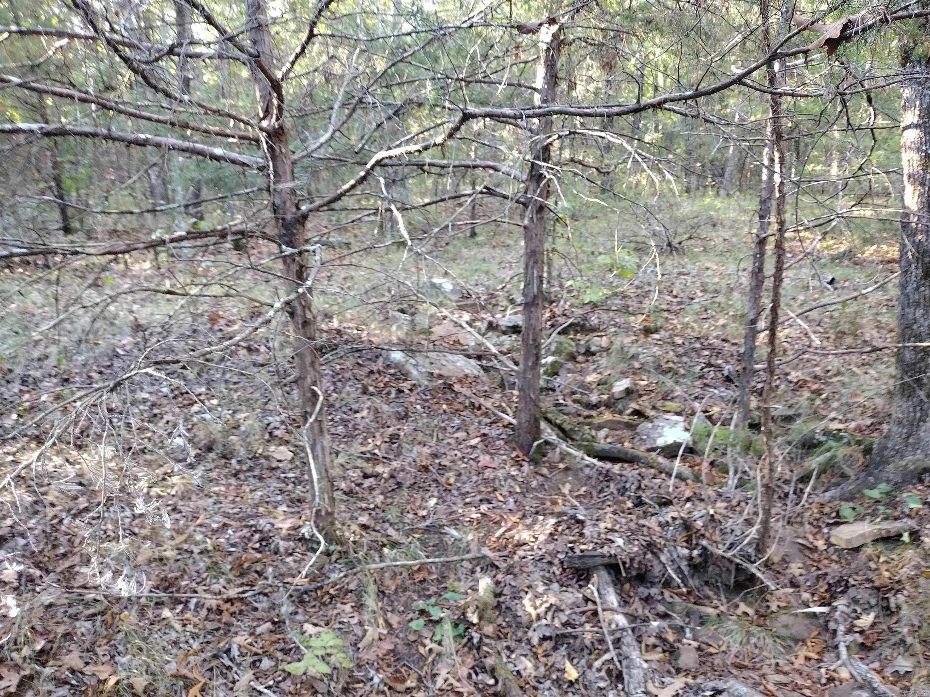 Property at 0  Arrowhead rd - Image 2