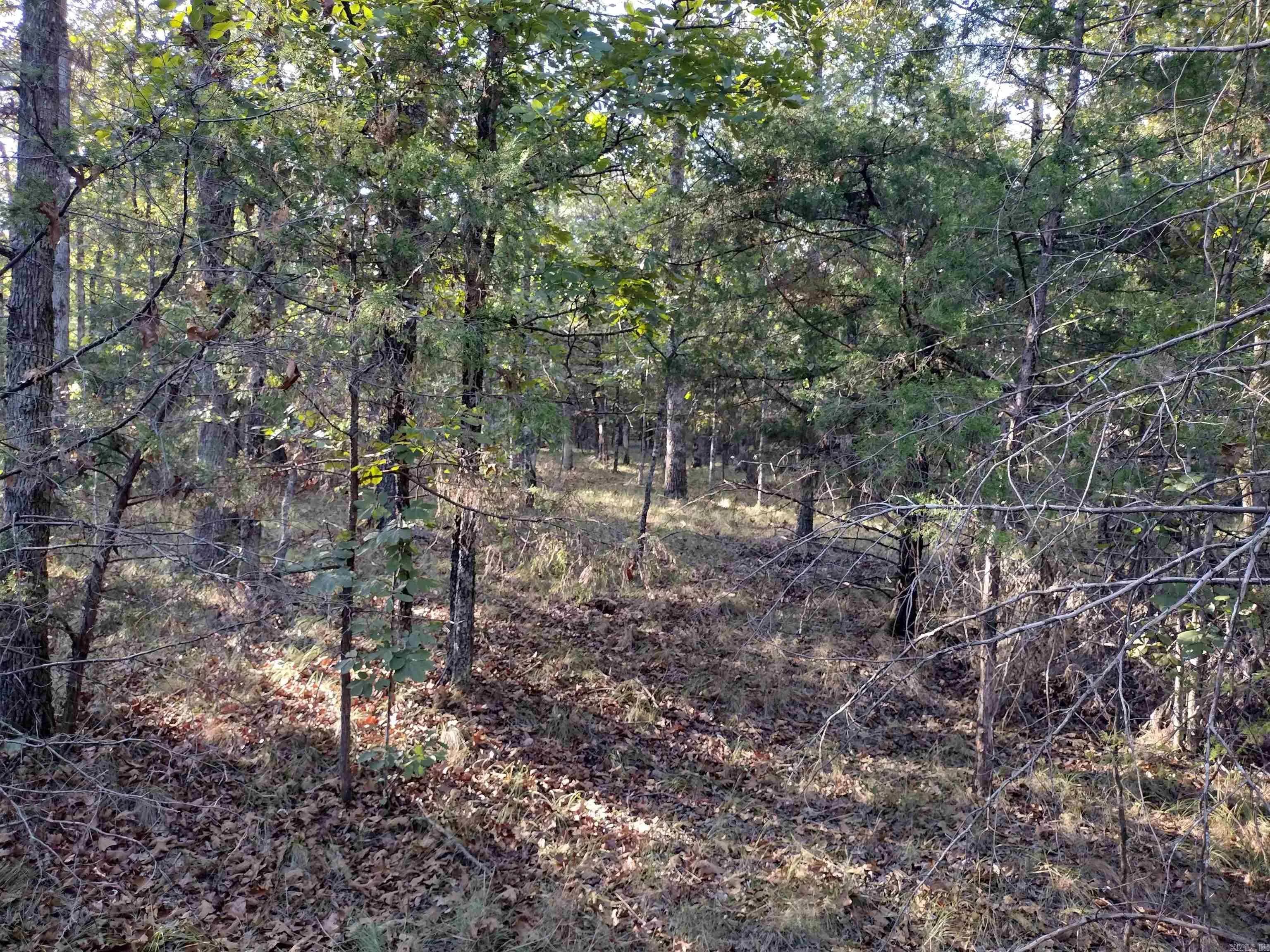 Property at 0  Arrowhead rd - Image 3