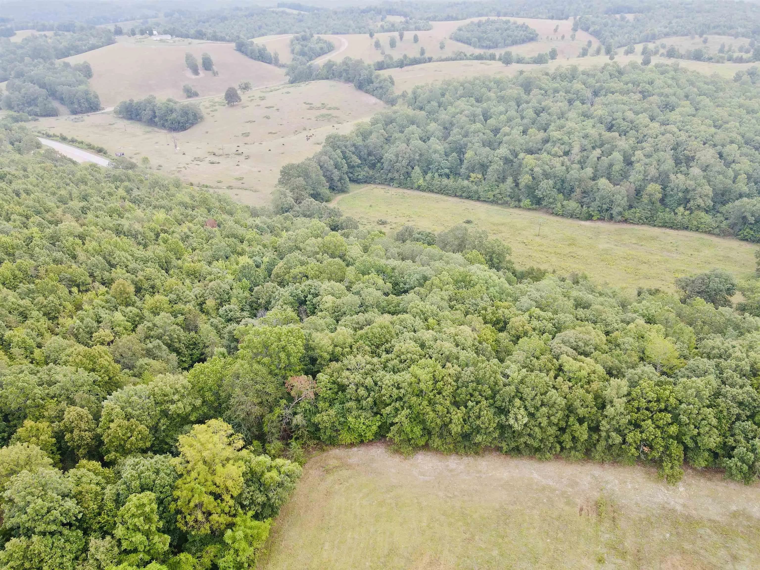 Property at 9505 N Highway 27 - Image 6