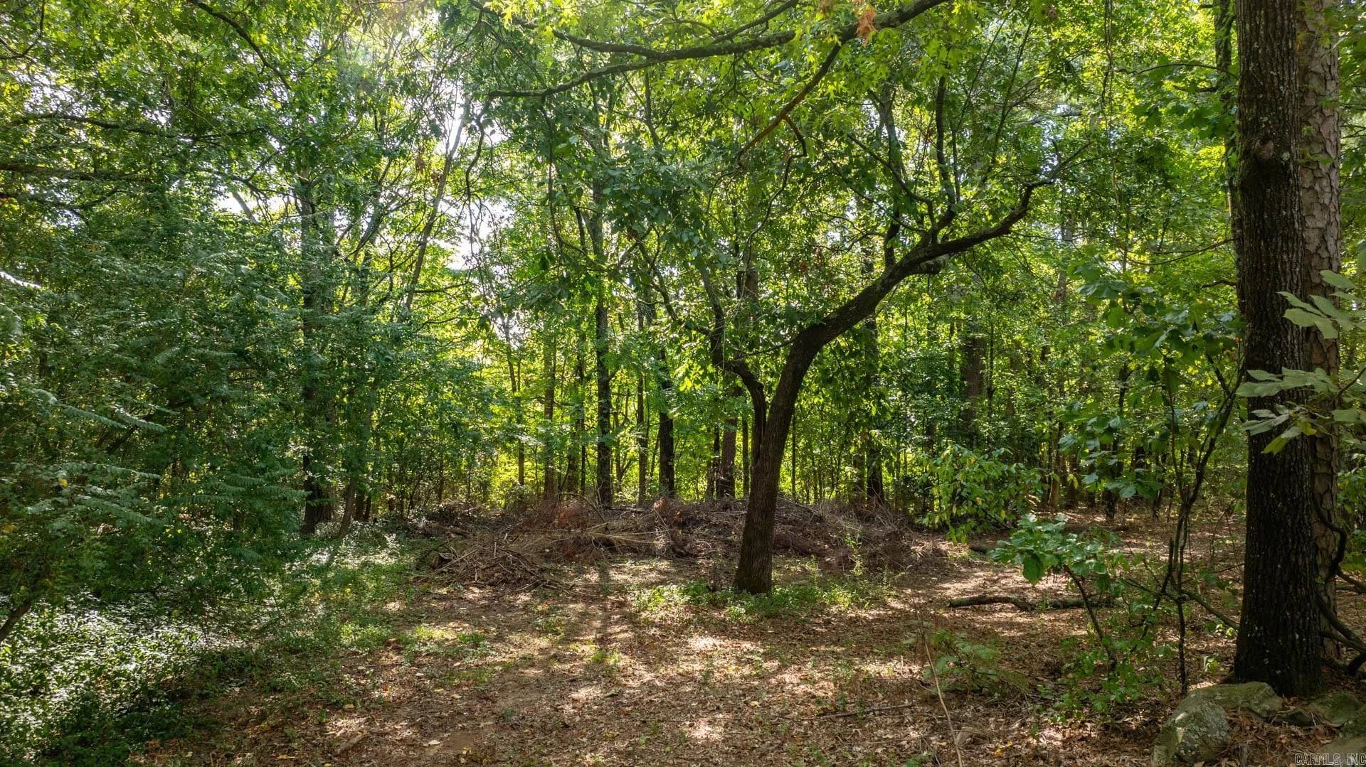 Property at 13100  Kanis - Image 47