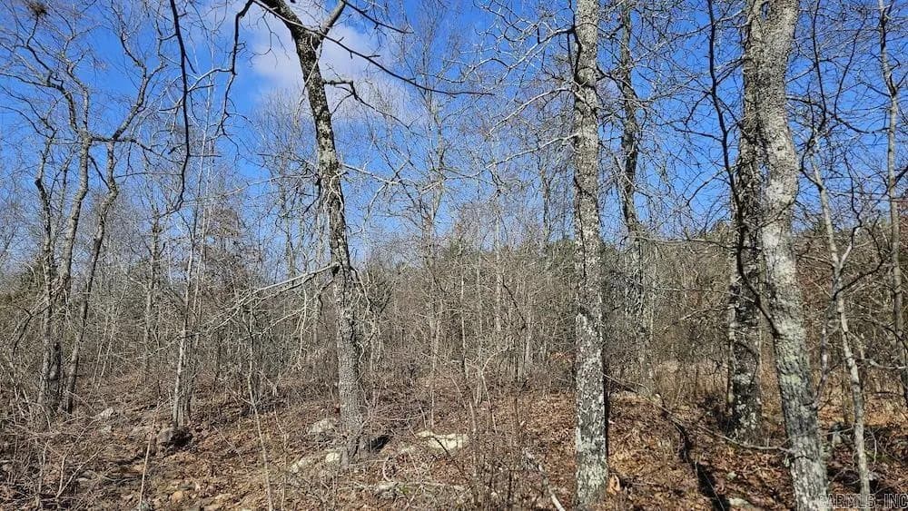 Property at Tract DE  Rocky rd - Image 11