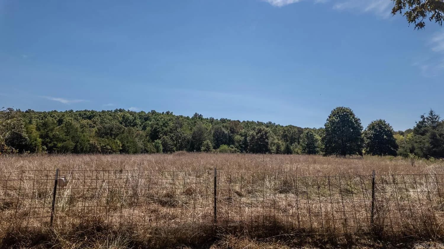 Property at 2000  County road 100 - Image 4