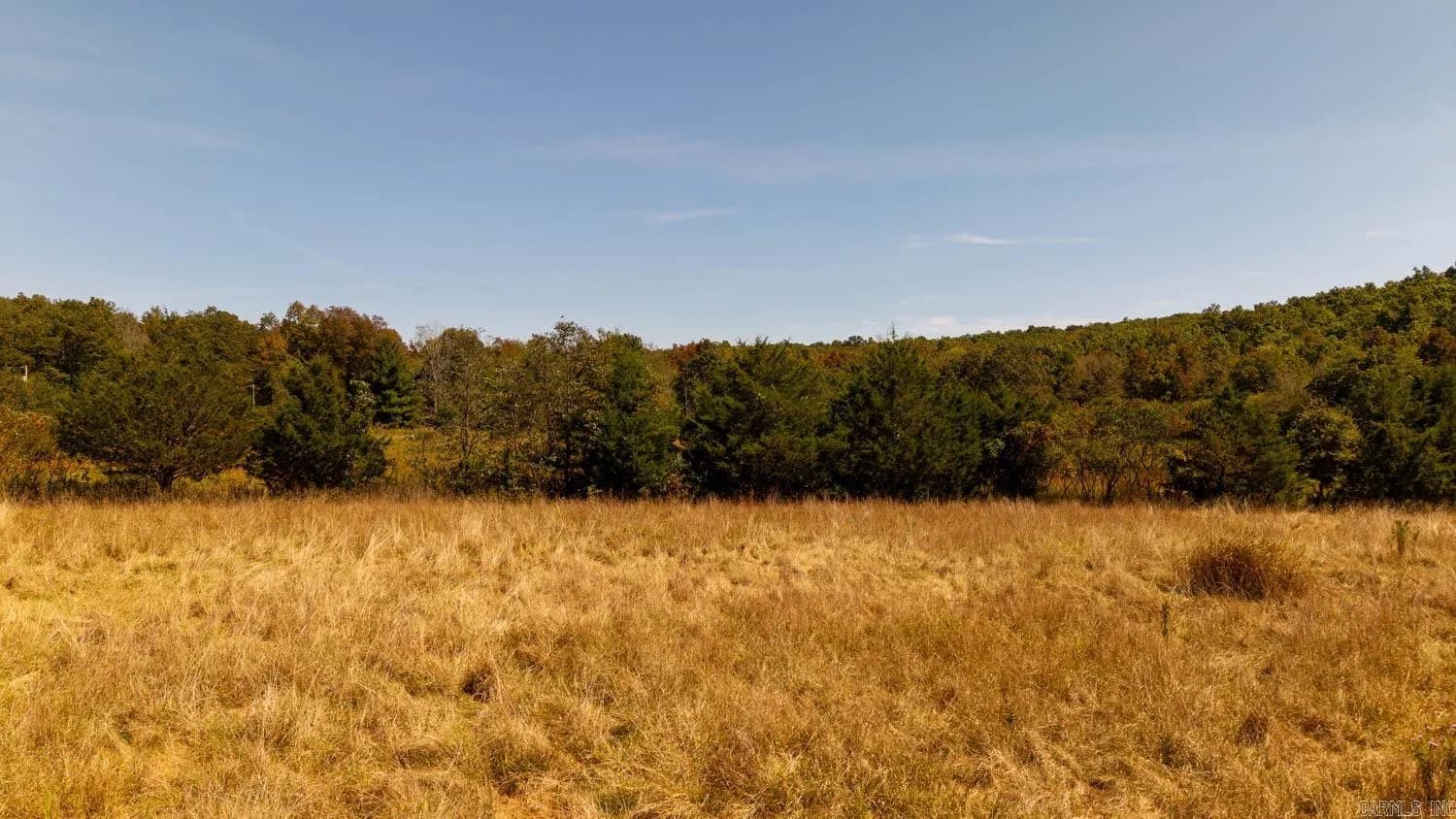 Property at 2000  County road 100 - Image 23