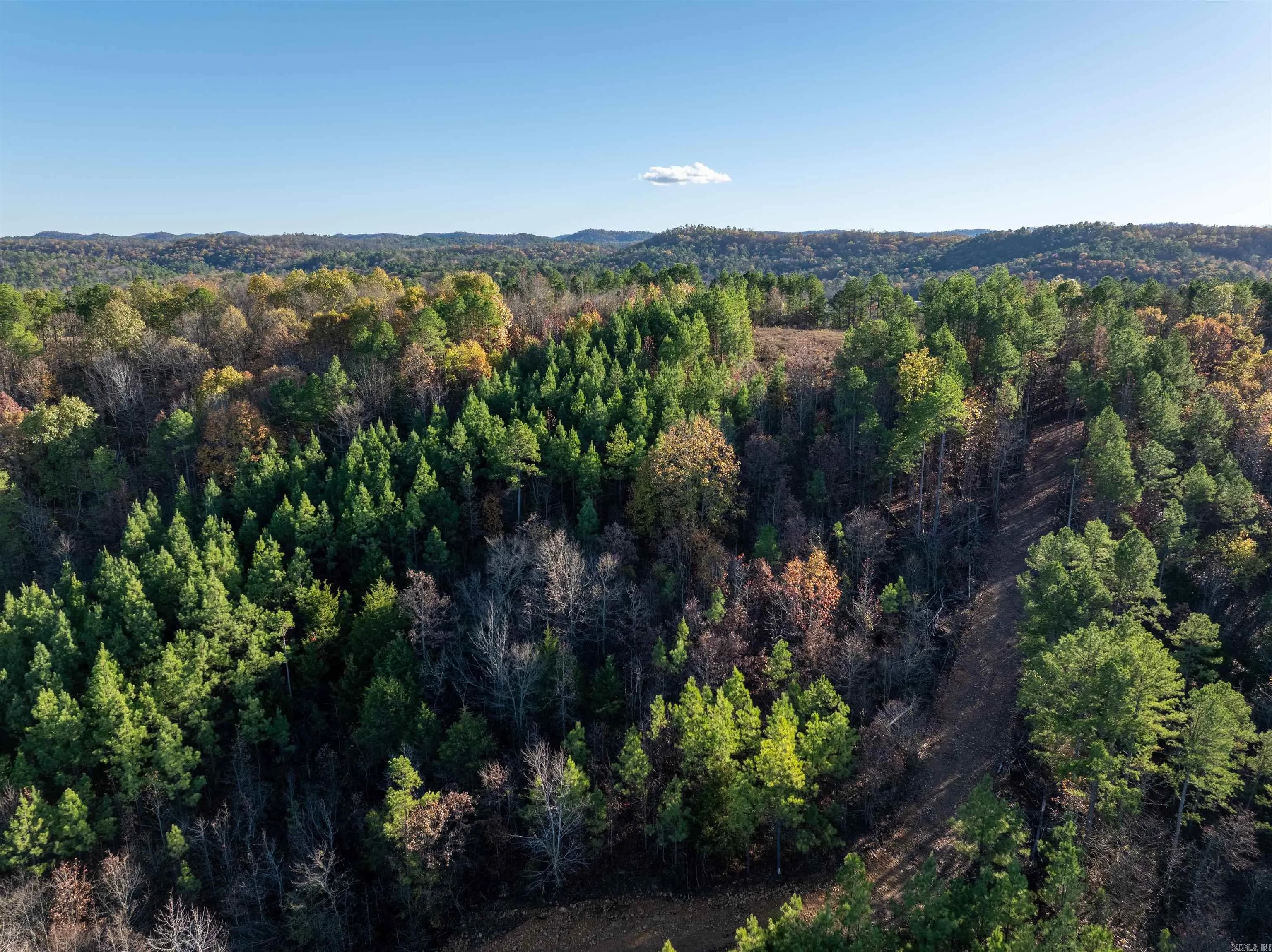 Property at Lot 13  Polk road 617 - Image 13